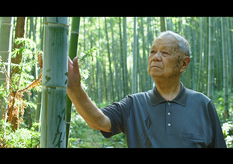 制扇技藝-徐義林 國家級(jí)非物質(zhì)文化遺產(chǎn)代...